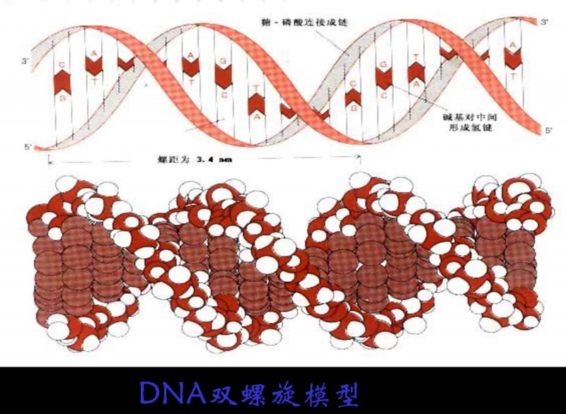 生态文明的产业体系