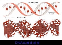 生态文明的产业体系