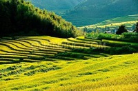 黑山梯田